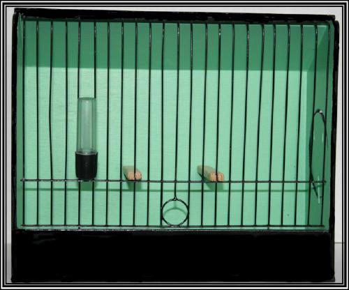 Cage image 1